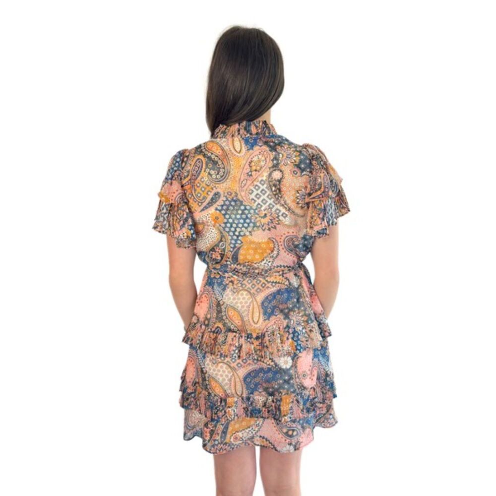 NEW Alden Adair Courtney Chiffon Mini Dress with Rope Belt in Paisley Patch Sz S - Picture 4 of 12